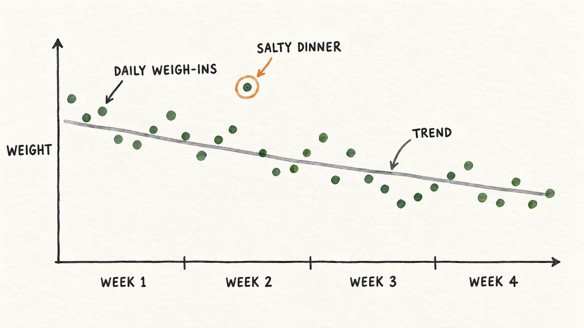 A watercolour chart over four weeks: green dots for daily weigh-ins zigzag up and down, with one high dot in week 2 circled and labelled "salty dinner", while a smooth grey trend line slopes gently down through the middle of them.
