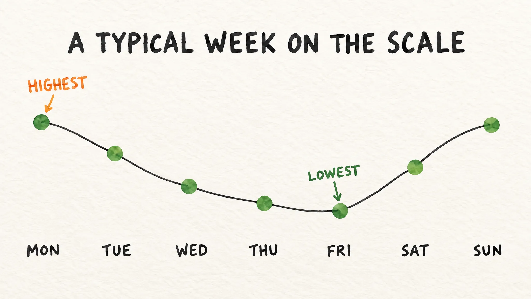 A watercolour diagram titled "A typical week on the scale": one dot for each day from Monday to Sunday, joined by a curve. Monday's dot is the highest, the dots fall to the lowest on Friday, then rise again over Saturday and Sunday.
